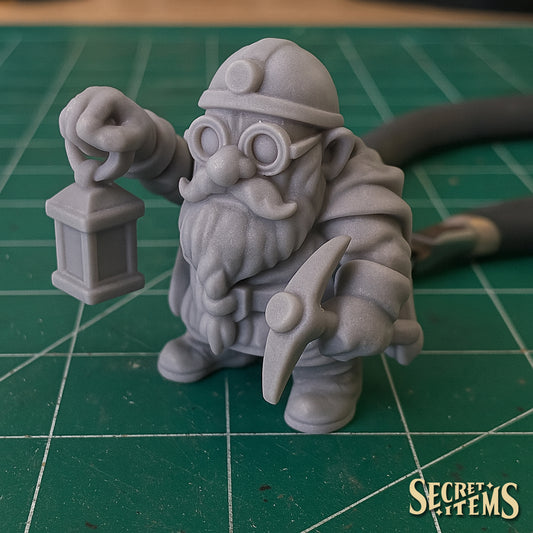 Tottin - Gnome Miner